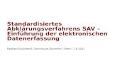 Standardisiertes Abklärungsverfahrens SAV – Einführung der elektronischen Datenerfassung Raphael Gschwend / Dominique Dümmler / Olten / 7.4.2011.