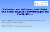 Wachstum von Bakterien und Pilzen und deren mögliche Auswirkungen auf Partikelfilter Department of Comparative Morphology and Biochemistry, University.
