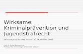 Wirksame Kriminalprävention und Jugendstrafrecht Jahrestagung der DVJJ Hessen 13. November 2008 Prof. Dr. Britta Bannenberg, Professur für Kriminologie,