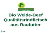 Bio Weide-Beef Qualitätsrindfleisch aus Raufutter.