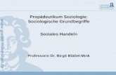 Propädeutikum Soziologie: Soziologische Grundbegriffe Soziales Handeln Professorin Dr. Birgit Blättel-Mink.