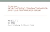 MODUL A2 NEUROKOGNITIVE GRUNDLAGEN BASALER LERN- UND GEDÄCHTNISPROZESSE TU Dresden SS 2013 Seminarleitung: Dr. Hannes Ruge.