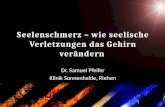 Seelenschmerz – wie seelische Verletzungen das Gehirn verändern Dr. Samuel Pfeifer Klinik Sonnenhalde, Riehen.