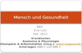 BKE Eva Lutz Okt. 2012 Mensch und Gesundheit Krankheiten Anatomie & Physiologie Fallbeispiele & Arbeitsblätter (Lösg.): .