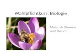 Wahlpflichtkurs: Biologie Mehr als Blumen und Bienen…