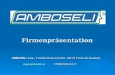 Firmenpräsentation AMBOSELI s.r.o., Třebohostická 1244/12, 100 00 Praha 10 Strašnice  info@amboseli.cz .