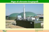 Abteilung Agrarwirtschaft BAL 08L Biogas als alternative Energiequelle Bild: Natural Energy Power.