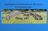 Nordsee-Gymnasium-Büsum Europaschule 1. Nordsee-Gymnasium-Büsum Europaschule Mittlerer Abschluss Zum Nachweis der Fähigkeit zum selbstständigen Arbeiten.