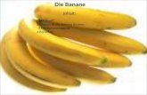 Die Banane Inhalt: 1.Herkunft 2.Warum ist die Banane krumm. 3.Die Bananenstaude 4.Bana Fair.