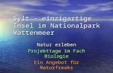 Sylt – einzigartige Insel im Nationalpark Wattenmeer Natur erleben Projekttage im Fach Biologie Ein Angebot für Naturfreaks.