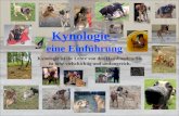 Kynologie - eine Einführung Kynologie ist die Lehre von den Haushunden. Sie ist sehr vielschichtig und umfangreich.