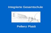 Logo Integrierte Gesamtschule Pellenz Plaidt. Organisatorisches Konzept.