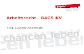 Arbeitsrecht – BAGS KV Mag. Susanne Anderwald. Stufenbau der Rechtsordnung (Bundes-)Gesetz Kollektivvertrag/Verordnung Betriebsvereinbarung Arbeitsvertrag.