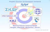 Projekt Zürcher Schiesssport Verband 1 Matchschützen Unterverbände Horgen, Oberland, Winterthur, Zürich KBZ VSS Sektion ZH Präsentation DV-2005 / Stand.