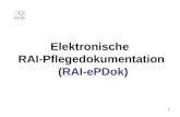 1 Elektronische RAI-Pflegedokumentation (RAI-ePDok)