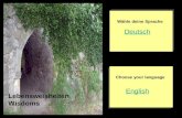 English Deutsch Choose your language Wähle deine Sprache Lebensweisheiten Wisdoms.