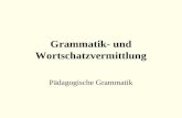 Grammatik- und Wortschatzvermittlung Pädagogische Grammatik.