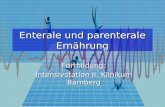 Enterale und parenterale Ernährung Fortbildung: Intensivstation II, Klinikum Bamberg.