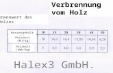 Halex3 GmbH. Verbrennung vom Holz Brennwert des Holzes Wassergehalt (%) Heizwert (MJ/kg) Heizwert (kWh/kg)
