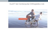 GuiXT bei Centerpulse Orthopedics Ltd.. GuiXT – Regensdorf – 12. November 2002 Frank Sbresny © Centerpulse 07 April 2014 Page 2 Topics Centerpulse Orthopedics.