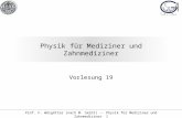 Prof. F. Wörgötter (nach M. Seibt) -- Physik für Mediziner und Zahnmediziner 1 Physik für Mediziner und Zahnmediziner Vorlesung 19.