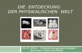 DIE ENTDECKUNG DER PHYSIKALISCHEN WELT 25.07.2011 – Entwicklungspsychologie - Seminar: Frühe Kindheit.
