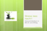 Stress lass nach!! Gesund bleiben in Beruf und Alltag © Karin Maurer.