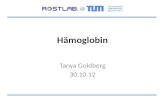 Hämoglobin Tanya Goldberg 30.10.12 @. 2 http://topnews.in/health/files/red_blood_cells_1.jpg.