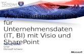 Šenaj Lelić V-TSP Microsoft Schweiz Visualisierungsportale für Unternehmensdaten (IT, BI) mit Visio und SharePoint.