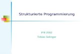 Strukturierte Programmierung IFB 2002 Tobias Selinger.