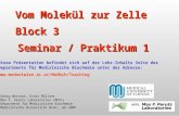 Vom Molekül zur Zelle Block 3 Seminar / Praktikum 1 Georg Weitzer, Ernst Müllner Max F. Perutz Laboratories (MFPL) Department für Medizinische Biochemie.