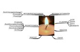Wachs Bei einer Kerze ist Wachs der Brennstoff. Wachs besteht aus einfach gebauten Kohlenwasserstoffketten : ca 18 - 20 Kohlenstoffatome (C 20 H 42.