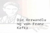 Die Verwandlung von Franz Kafka. Gliederung. Literatur der Existenz. Die Biographie von Franz Kafka. Die Verwandlung. Themen. Referenz.