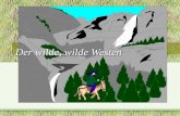 Der wilde, wilde Westen Ein Trapper reitet alleine durchs Indiander-Land...