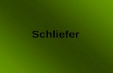 Schliefer. http://www.opel-zoo.de http://www.n77.de http://commons.wikimedia.org.