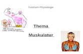 Tutorium Physiologie Thema Muskulatur. Arten und Feinbau: Kontraktile Zellarten: -Perizyten -Myoepithelzellen in Drüsen -Endothelzelle -äußere Haarzellen.