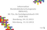 Information Bundeskinderschutzgesetz (BKSchG), §§ 72a, 8a Sozialgesetzbuch VIII (SGB VIII) Bamberg, 04.12.2013 Nürnberg, 11.12.2013.