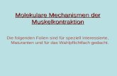 Molekulare Mechanismen der Muskelkontraktion Die folgenden Folien sind für speziell Interessierte, Maturanten und für das Wahlpflichtfach gedacht.