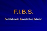 F.I.B.S. Fortbildung In Bayerischen Schulen. Fortbildung In Bayerischen Schulen - GLIEDERUNG Gliederung Aufgaben Multis Technische Voraussetzungen Allgemeines.