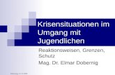 Dobernig; 12.11.2008 Krisensituationen im Umgang mit Jugendlichen Reaktionsweisen, Grenzen, Schutz Mag. Dr. Elmar Dobernig.