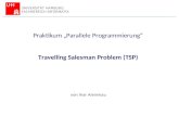 Olesja Aleinikau & Timo Dahlbüdding Praktikum Parallele Programmierung Travelling Salesman Problem (TSP) von Ihar Aleinikau UNIVERSITÄT HAMBURG FACHBEREICH.