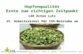 Hopfenqualität Ernte zum richtigen Zeitpunkt LAR Anton Lutz 15. Arbeitszirkel für ISO-Betriebe am 08.12.2009 Lutz, Kneidl, Dr. Seigner, Dr. Kammhuber –