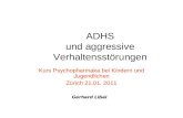 ADHS und aggressive Verhaltensstörungen Kurs Psychopharmaka bei Kindern und Jugendlichen Zürich 21.01. 2011 Gerhard Libal.