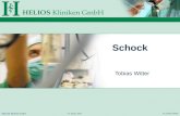 HELIOS Kliniken GmbH 10. Januar 2005 Dr. Tobias Witter Schock Tobias Witter.