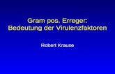 Gram pos. Erreger: Bedeutung der Virulenzfaktoren Robert Krause.