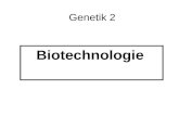 Genetik 2 Biotechnologie. Polymerase-Kettenreaktion PCR.