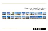 Copyright Liebherr 2010 Produktmanagement Spezialtiefbaugeräte Liebherr Spezialtiefbau Trockenmischverfahren.