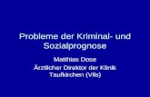 Probleme der Kriminal- und Sozialprognose Matthias Dose Ärztlicher Direktor der Klinik Taufkirchen (Vils)