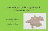 Workshop: Schutzgebiete in Oberösterreich Anna Mittlböck & Stefanie Essl.