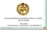Niederösterreichischer Landesfeuerwehrverband Bezirksfeuerwehrkommando Zwettl FLA Gold 2010 1 Disziplin: Formulieren und Geben von Befehlen Feuerwehrleistungsabzeichen.